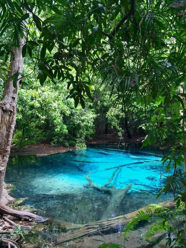 Emerald Pool and Tiger Cave Temple Tour – טיול לבריכת האמרלד ומערת הנמר